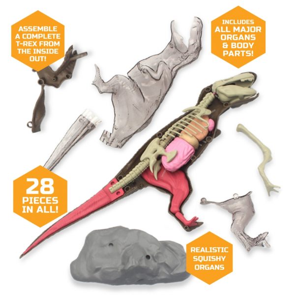4D T-Rex Anatomy Kit