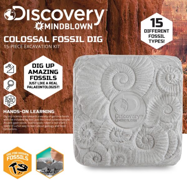 Colossal Fossil Dig