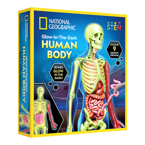 Human Body Science Kit   