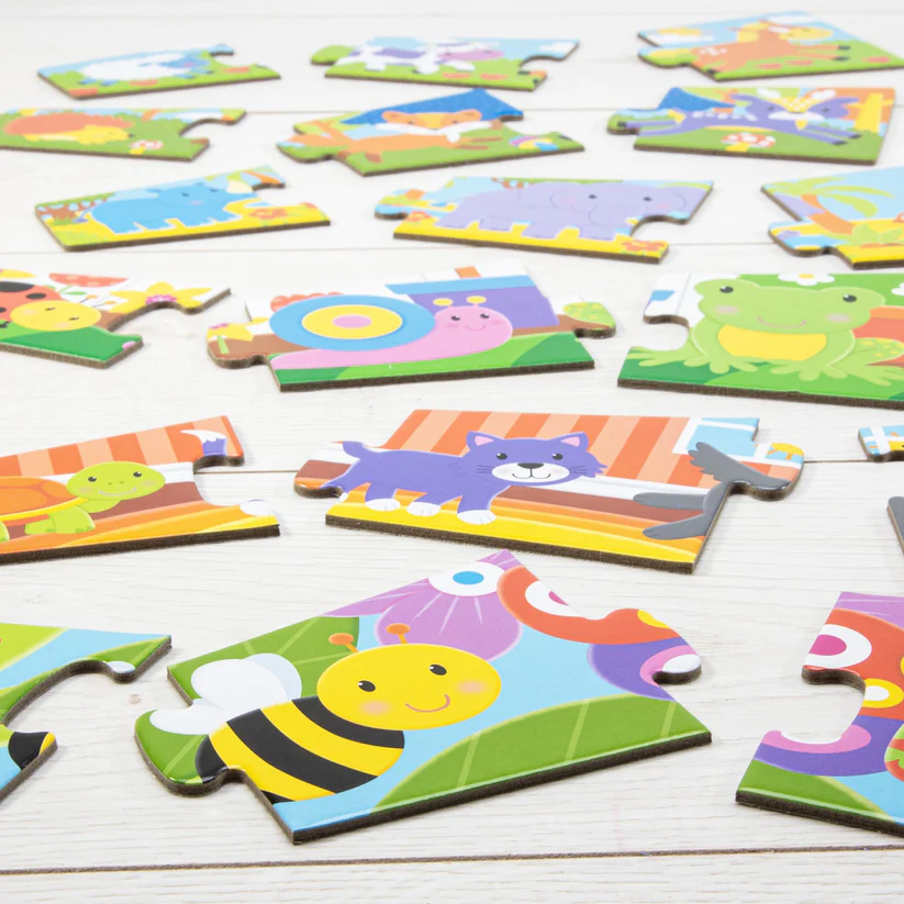 Size Sorting Puzzle – Science Kits SG