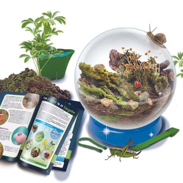 I'm A Genius Science – Habitat & Ecosystem – Science Kits SG