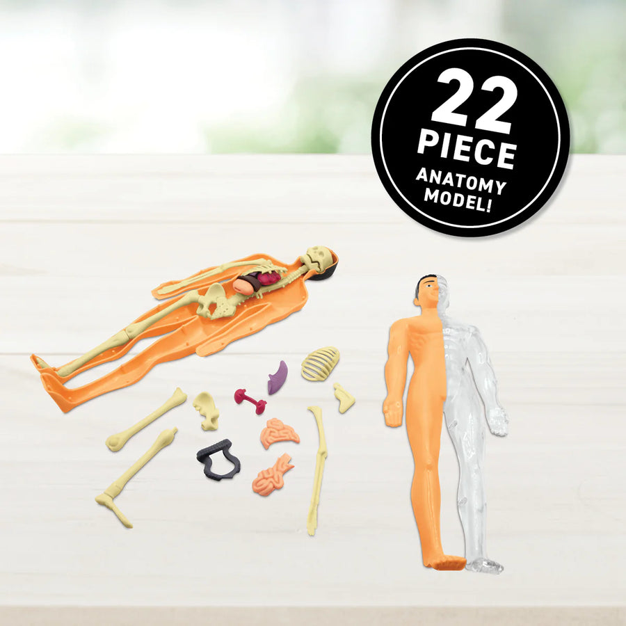 VR Gift Box - Human Body – Science Kits SG