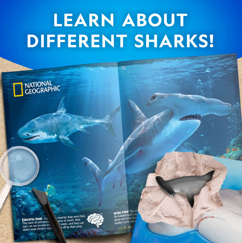 National Geographic Hammerhead Shark Dig Kit