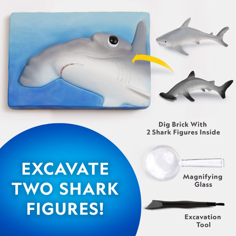 National Geographic Hammerhead Shark Dig Kit