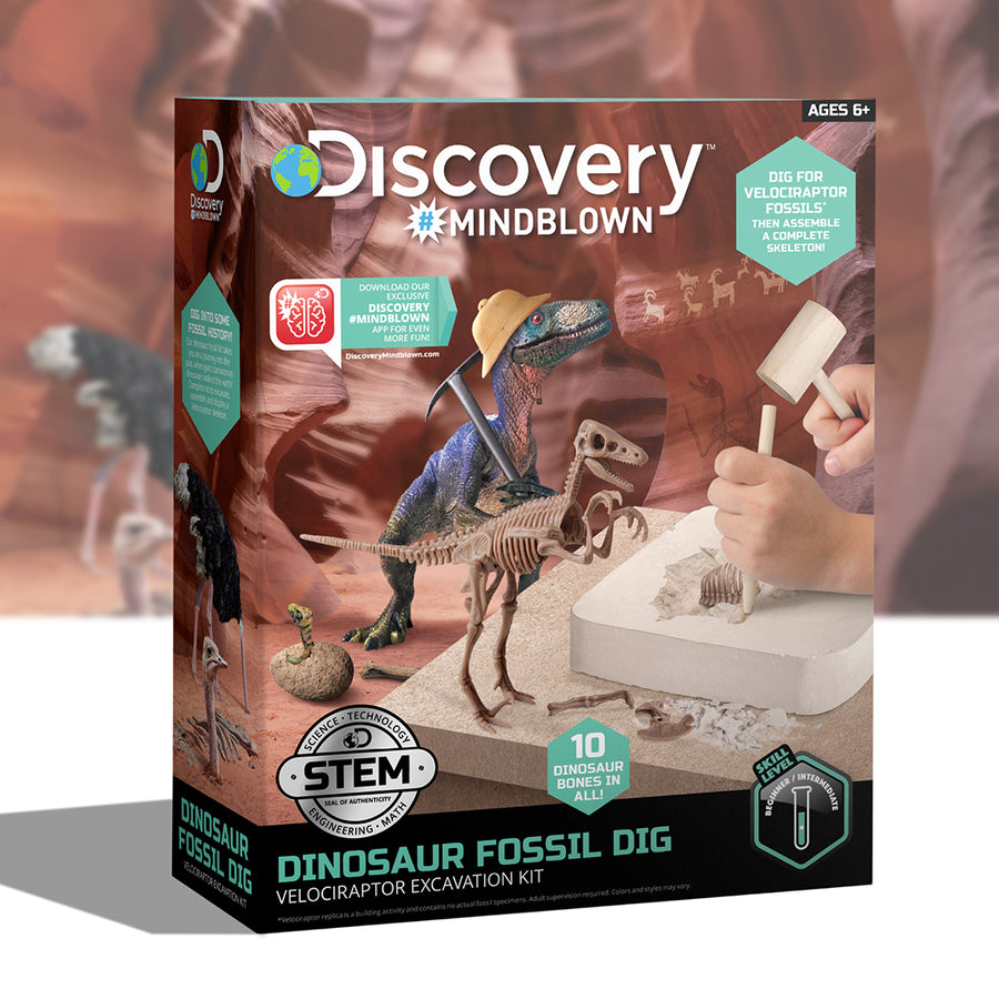 Discovery Mindblown Dinosaur Fossil Dig (Velociraptor Excavation Kit) | Sciencekits.sg