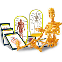 I'm A Genius Science – Discover the Human Body – Science Kits SG