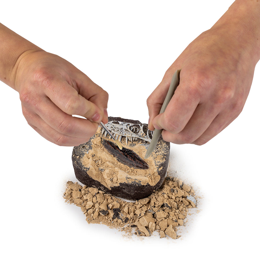 National Geographic - Dinosaur Fossil Dig Kit