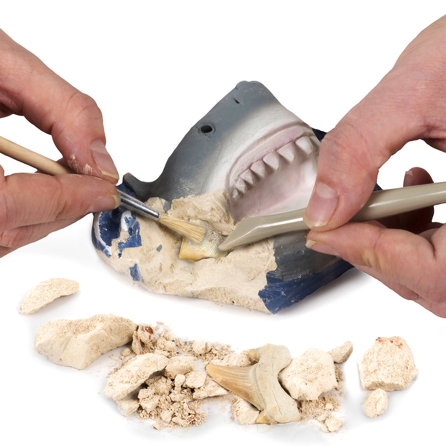National Geographic - Shark Tooth Dig Kit
