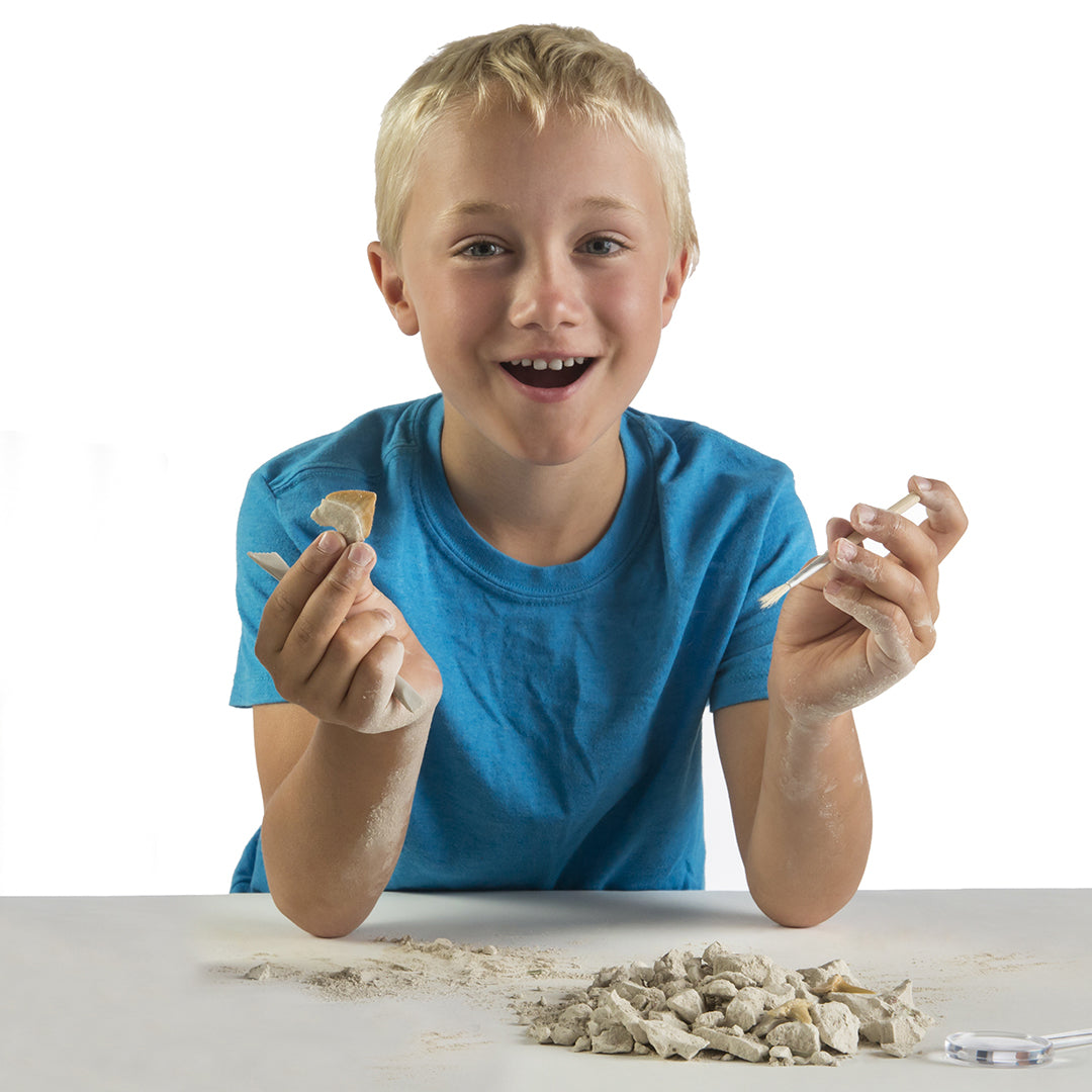 National Geographic Shark Teeth Dig Kit – Science Kits SG